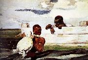 Winslow Homer Turtles captured in USA oil painting artist